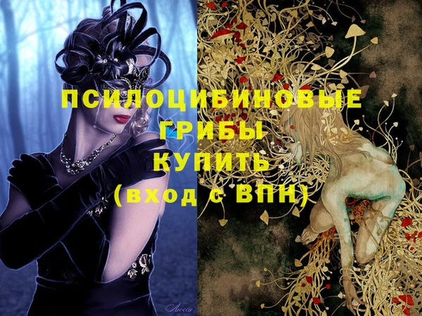 амф Алексин