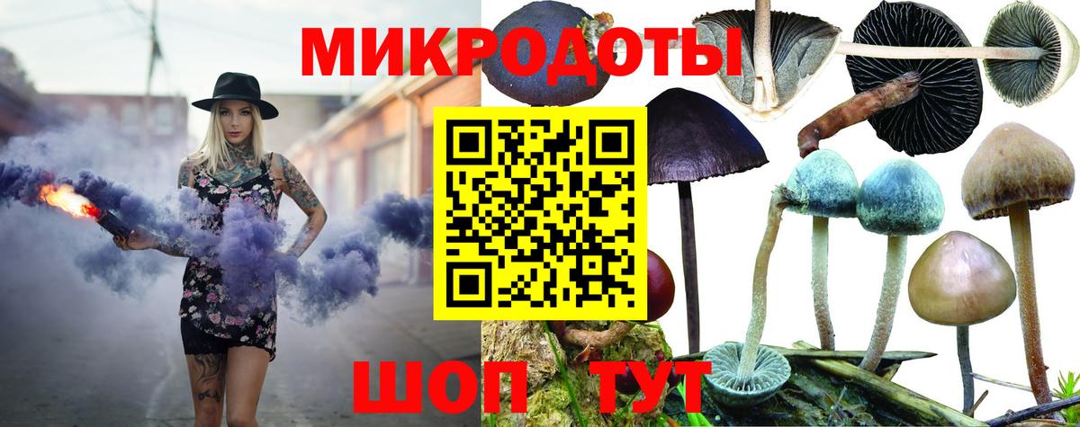 Галлюциногенные грибы мухоморы Чайковский