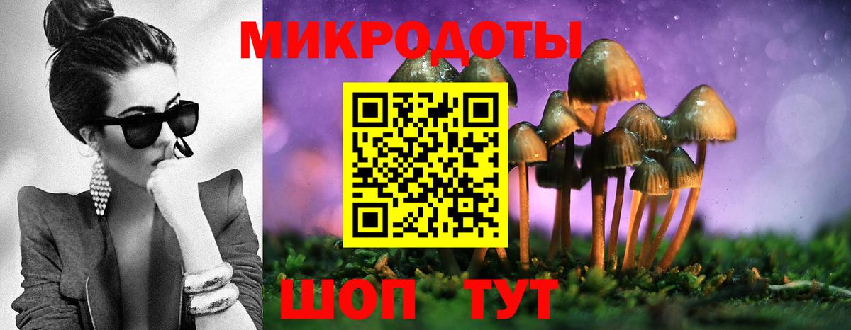 Галлюциногенные грибы Magic Shrooms  Вход с VPN  Чайковский 
